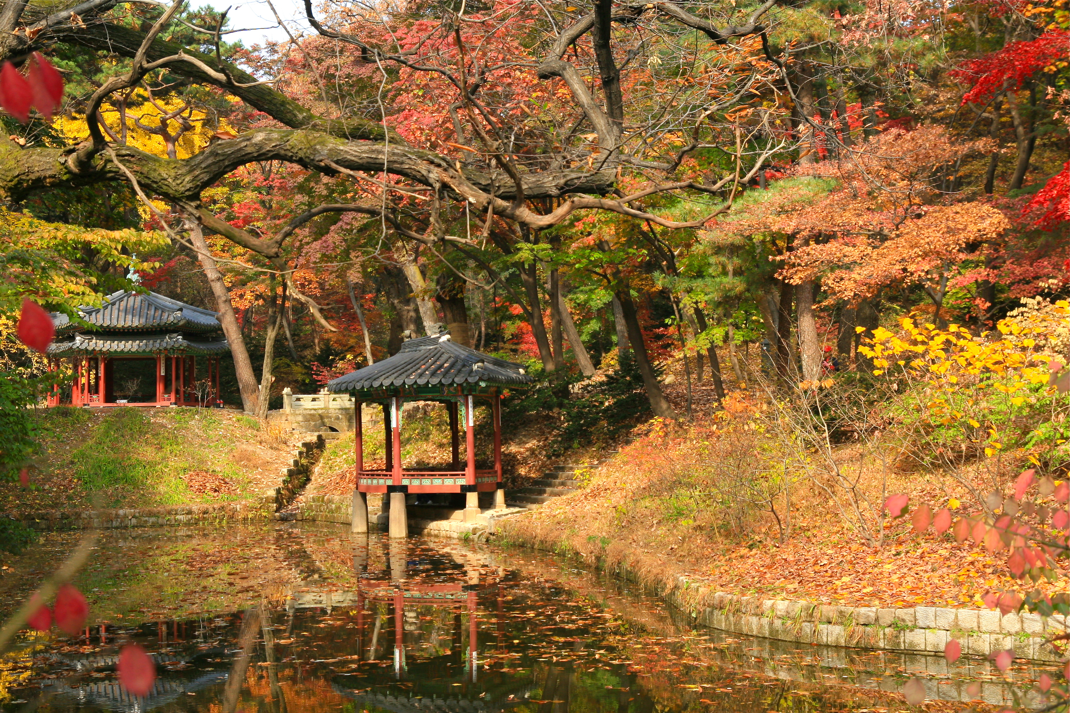 Secret Garden at Changdeokgung Palace – kidsfuninseoul