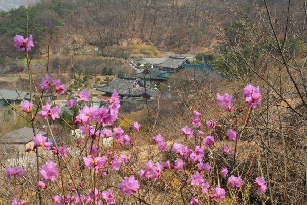 nature in Seoul - Baeksasil Buam-dong