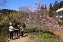 Chollipo Arboretum